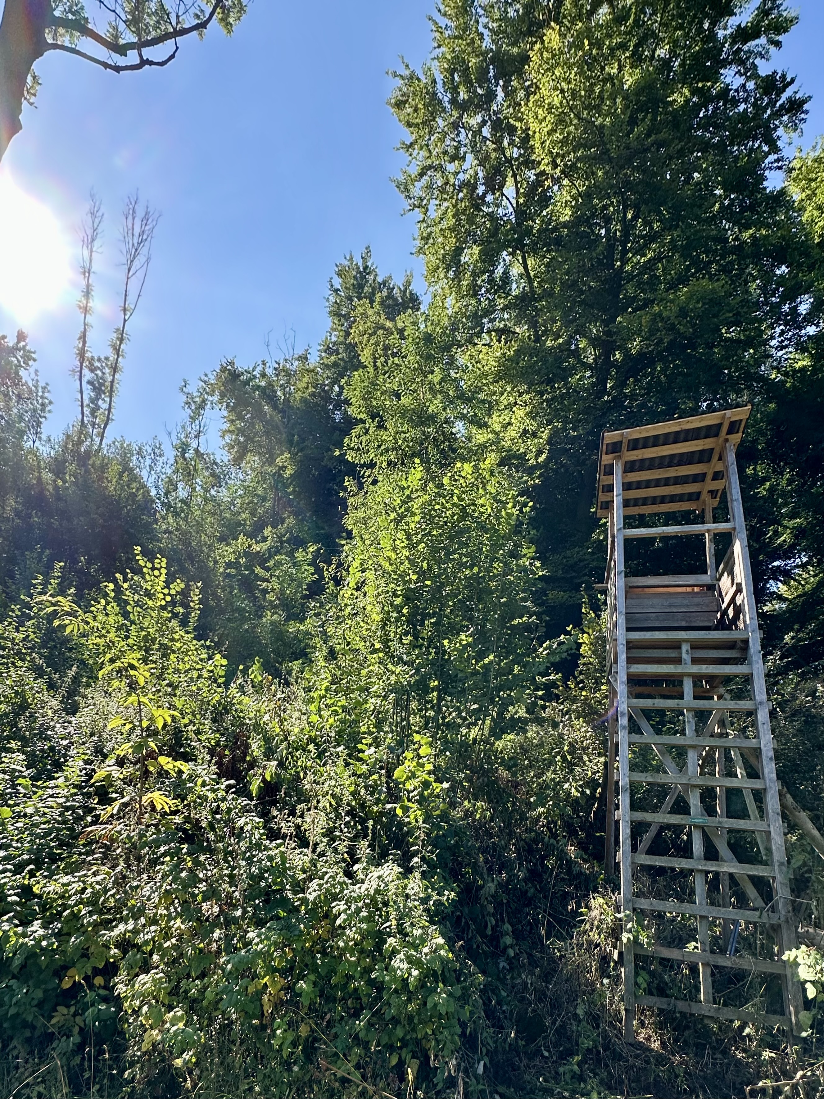 Das Premiummodell, was immer wieder gerne gekauft ist und ein Hingucker in jedem Wald!