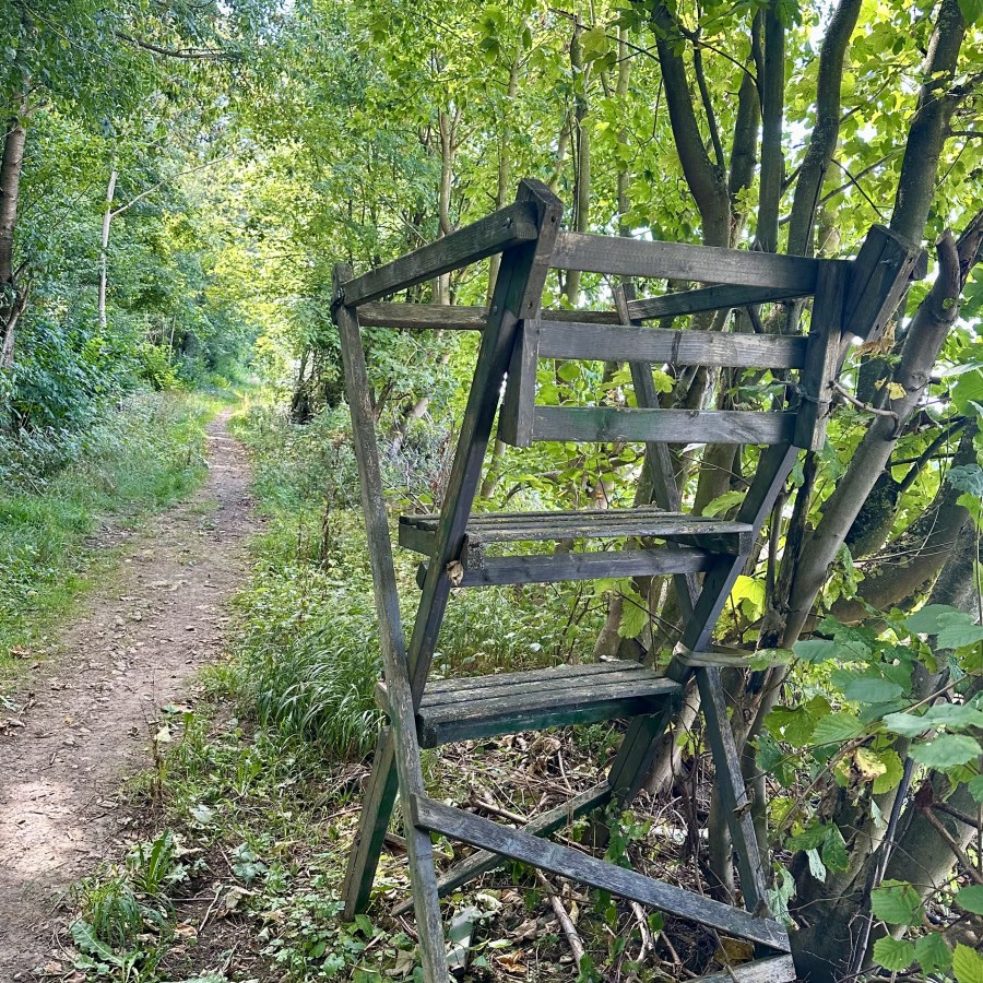 Der sogenannte Halbhochsitz, auch umgangsprachlich Niedersitz genannt besticht durch seinen ebenerdigen Einstieg und den einmaligen Sitzkomfort.