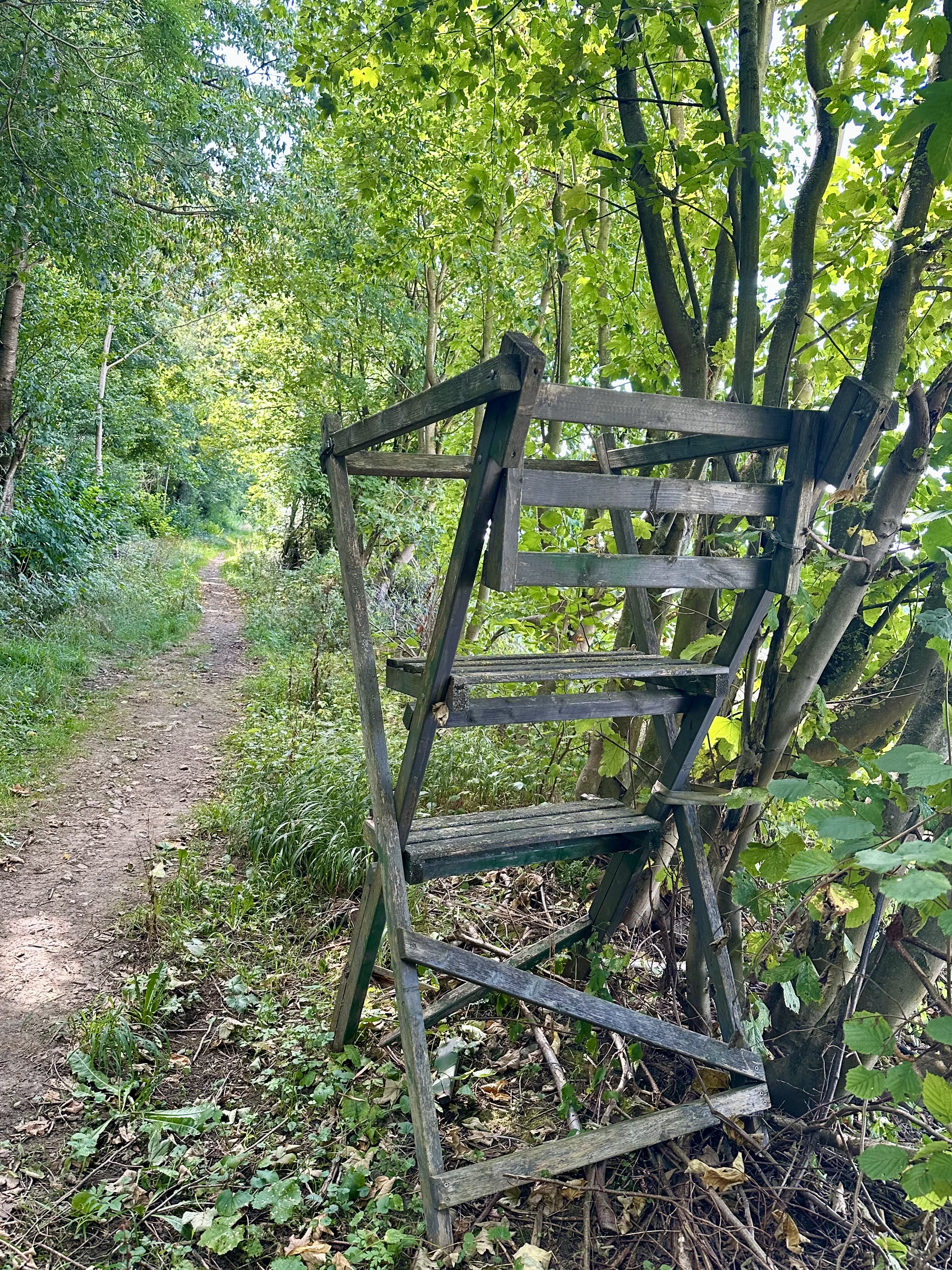 Der sogenannte Halbhochsitz, auch umgangsprachlich Niedersitz genannt besticht durch seinen ebenerdigen Einstieg und den einmaligen Sitzkomfort.