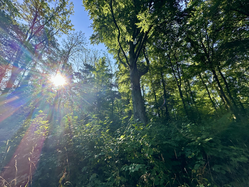 Über Felder, durch Wälder, ins Zelt