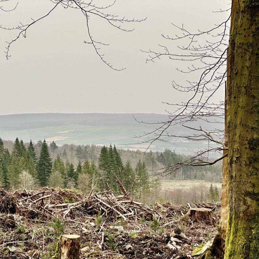 Weserbergland zu Ostern